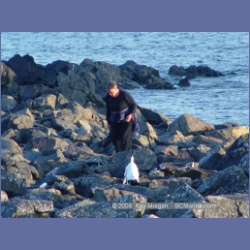 2004_7140_Clifford_Bay_Aristazabal_Island.html