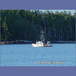 2004_7141_Clifford_Bay_Aristazabal_Island.html