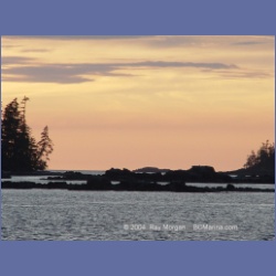 2004_7154_Clifford_Bay_Aristazabal_Island.html