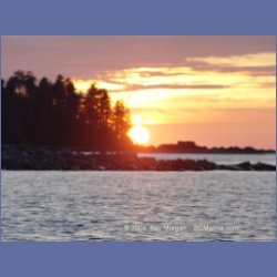 2004_7157_Clifford_Bay_Aristazabal_Island.html