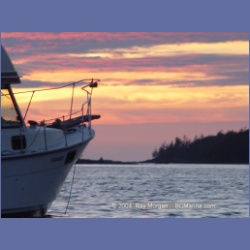 2004_7172_Clifford_Bay_Aristazabal_Island.html