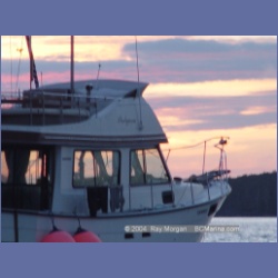 2004_7175_Clifford_Bay_Aristazabal_Island.html
