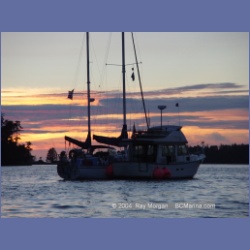 2004_7177_Clifford_Bay_Aristazabal_Island.html