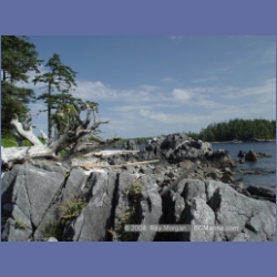 2004_7189_Clifford_Bay_Aristazabal_Island.html