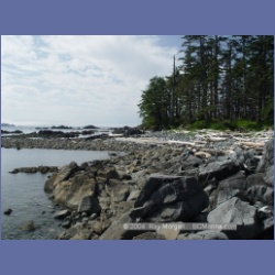 2004_7191_Clifford_Bay_Aristazabal_Island.html