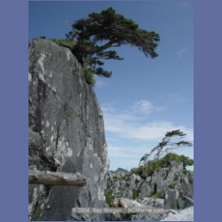 2004_7193_Clifford_Bay_Aristazabal_Island.html