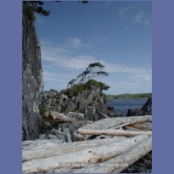 2004_7194_Clifford_Bay_Aristazabal_Island.html