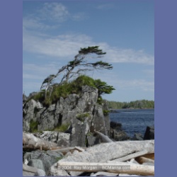 2004_7195_Clifford_Bay_Aristazabal_Island.html