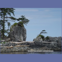 2004_7200_Clifford_Bay_Aristazabal_Island.html