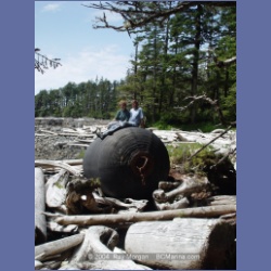 2004_7203_Clifford_Bay_Aristazabal_Island.html