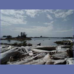 2004_7206_Clifford_Bay_Aristazabal_Island.html
