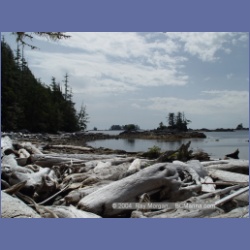 2004_7207_Clifford_Bay_Aristazabal_Island.html