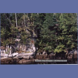1997_codville178.html