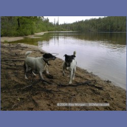 1999_042_Codville_Lagoon.html