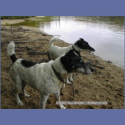 1999_043_Codville_Lagoon.html