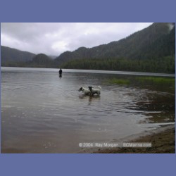 1999_044_Codville_Lagoon.html