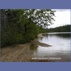 1999_049_Codville_Lagoon.html