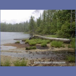 2001_164_Sagar_Lake_Codville_Lagoon.html