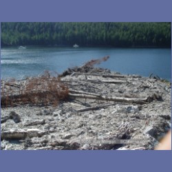2004_7835_Codville_Lagoon.html