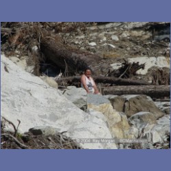 2004_7842_Codville_Lagoon.html