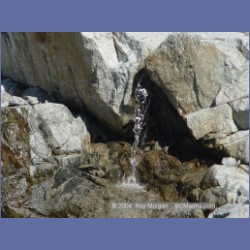 2004_7843_Codville_Lagoon.html