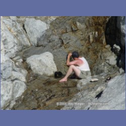 2004_7850_Codville_Lagoon.html