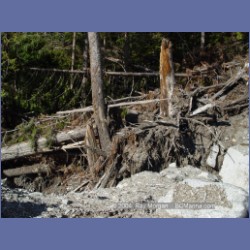 2004_7854_Codville_Lagoon.html