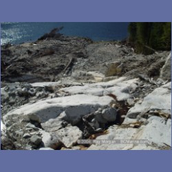 2004_7857_Codville_Lagoon.html