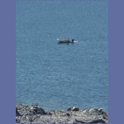 2004_7864_Codville_Lagoon.html