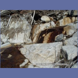 2004_7871_Codville_Lagoon.html