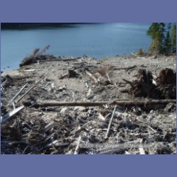2004_7878_Codville_Lagoon.html