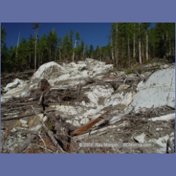 2004_7880_Codville_Lagoon.html