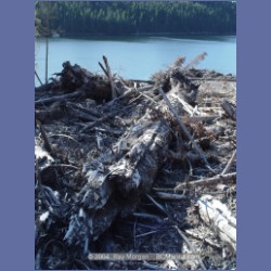 2004_7884_Codville_Lagoon.html