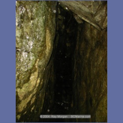 2002_389_Columbia_Cove.html