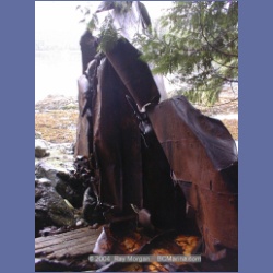 2002_391_Columbia_Cove.html