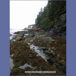 2002_392_Columbia_Cove.html