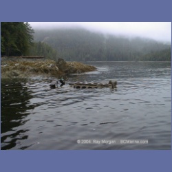 2002_396_Columbia_Cove.html