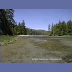 2002_436_Columbia_Cove.html