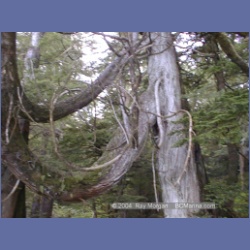 2002_459_Columbia_Cove.html