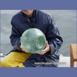 2003_3690_Columbia_Cove_Brooks_Peninsula.html