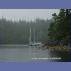 2003_3691_Columbia_Cove_Brooks_Peninsula.html