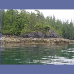 2003_3693_Columbia_Cove_Brooks_Peninsula.html