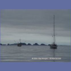 2003_3695_Columbia_Cove_Brooks_Peninsula.html