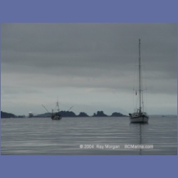 2003_3696_Columbia_Cove_Brooks_Peninsula.html