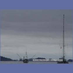 2003_3698_Columbia_Cove_Brooks_Peninsula.html