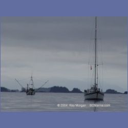 2003_3699_Columbia_Cove_Brooks_Peninsula.html