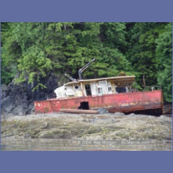 2003_3700_Columbia_Cove_Brooks_Peninsula.html