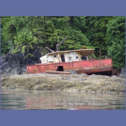 2003_3701_Columbia_Cove_Brooks_Peninsula.html