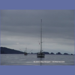 2003_3702_Columbia_Cove_Brooks_Peninsula.html