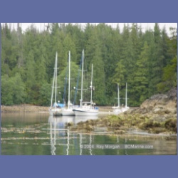 2003_3703_Columbia_Cove_Brooks_Peninsula.html